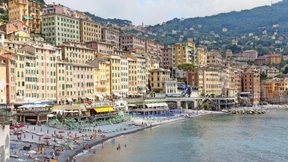 Blüten, Schweiß und Tränen