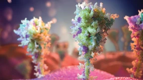 Corona sieht nicht aus wie eine Laborgeburt