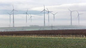 Ästhetische Relevanz der Heimatliebe