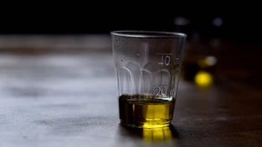 Schwarzes Lob im Landeanflug