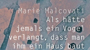 Den im Dunkel sieht man nicht