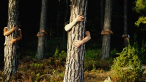 Das Klima retten und dabei Geld verdienen