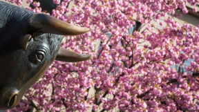 Der Mai und seine Tücken