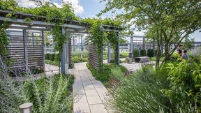 Klimawandel mit mehr Grün erträglicher machen