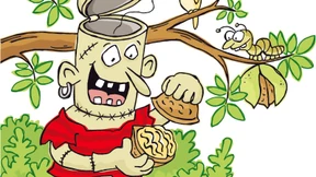 Eins auf die Walnuss