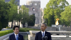 Die Kraniche von Obama