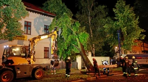 Länder fordern Versicherungspflicht für Hausbesitzer