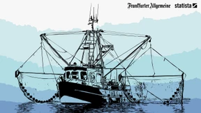 Chinas Krieg um den Fisch