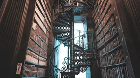 Was uns neuere Universitätsromane erzählen