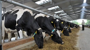 Bund verdoppelt EU-Hilfe für die Bauern