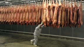 Unsere neuen Hungerlöhner