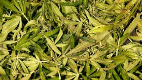 „Das alles passiert in unserer Nachbarschaft“