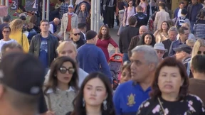 Fußball-Europameisterschaft 2024