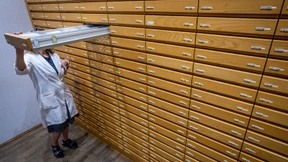 Nur sechs Apotheken in Frankfurt geöffnet