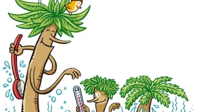 Grün auf heißer Erde