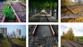 Schienen im Dornröschenschlaf