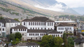 Zwei wilde Tiere gehen sich an die Gurgel