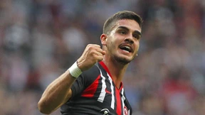 Angriff auf das Establishment