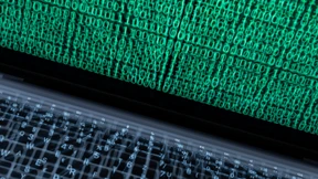 Datendiebe müssen in den Hausarrest