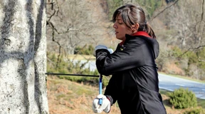 Trockenheit bedroht Buchen in Europa