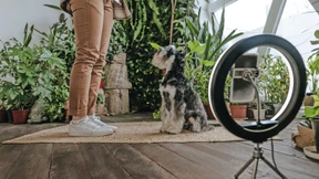 Traumberuf der Generation Z