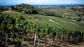 Weniger Wein fürs gleiche Geld