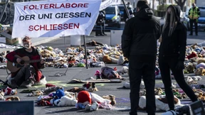 Kuscheltiere protestieren gegen Tierversuche