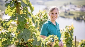 Auch im Wein ist Klimawandel