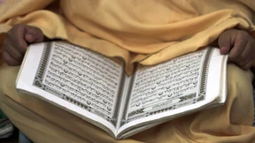 Löwen und Schwerter