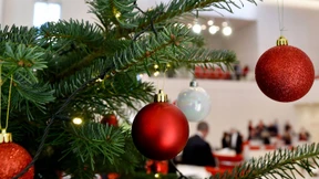 Schatz, bestellst du noch den Weihnachtsbaum bei Amazon?