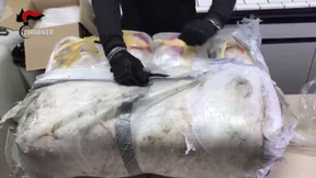 Fast 500 Mafia-Bosse auf der Flucht