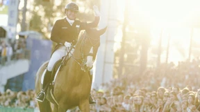 Ein Pferd, das die Menschen berührt