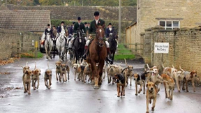 Für Hund und Katz ist nun auch Platz