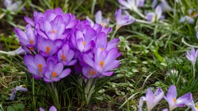 Der Frühling beginnt mit milden Temperaturen