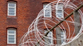 Die Gans schnatterte wie Pieck . . .