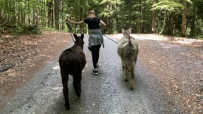 Ein Kampf um jeden Meter