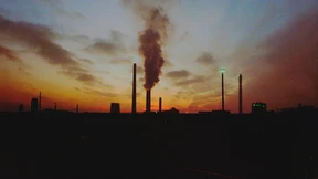 Chemieverpestet und ipadverseucht