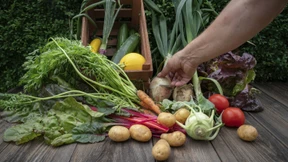 Es gibt sie noch, die nützlichen Dinge