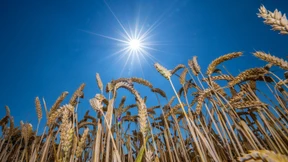 Mit diesem Urteil hat die europäische Vernunft ausgedient