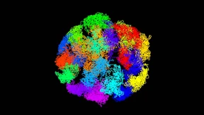 Das Leben faltet knotenfrei 