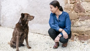 Was Chefs von Hunden lernen können