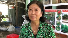 Versinkt die „Reisschüssel“ im Meer?