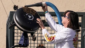 Ehrenwertes Handwerk