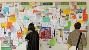 Was die Regierung für Studierende plant