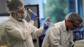 Erster Antrag in der EU für Laborfleisch