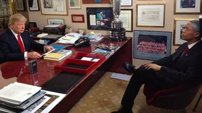 Die Rache des Pitbulls