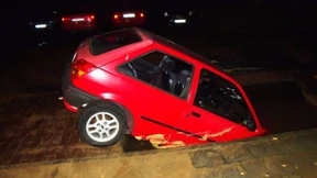 Mit Spürnase das Gold schätzen