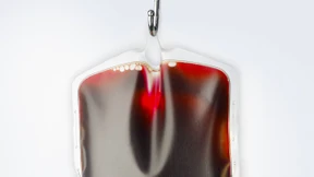 Das gefährliche Blut