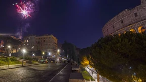 Hunderte Vögel sterben im Böller-Lärm