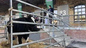 Der harte Kampf um Öko-Kunden